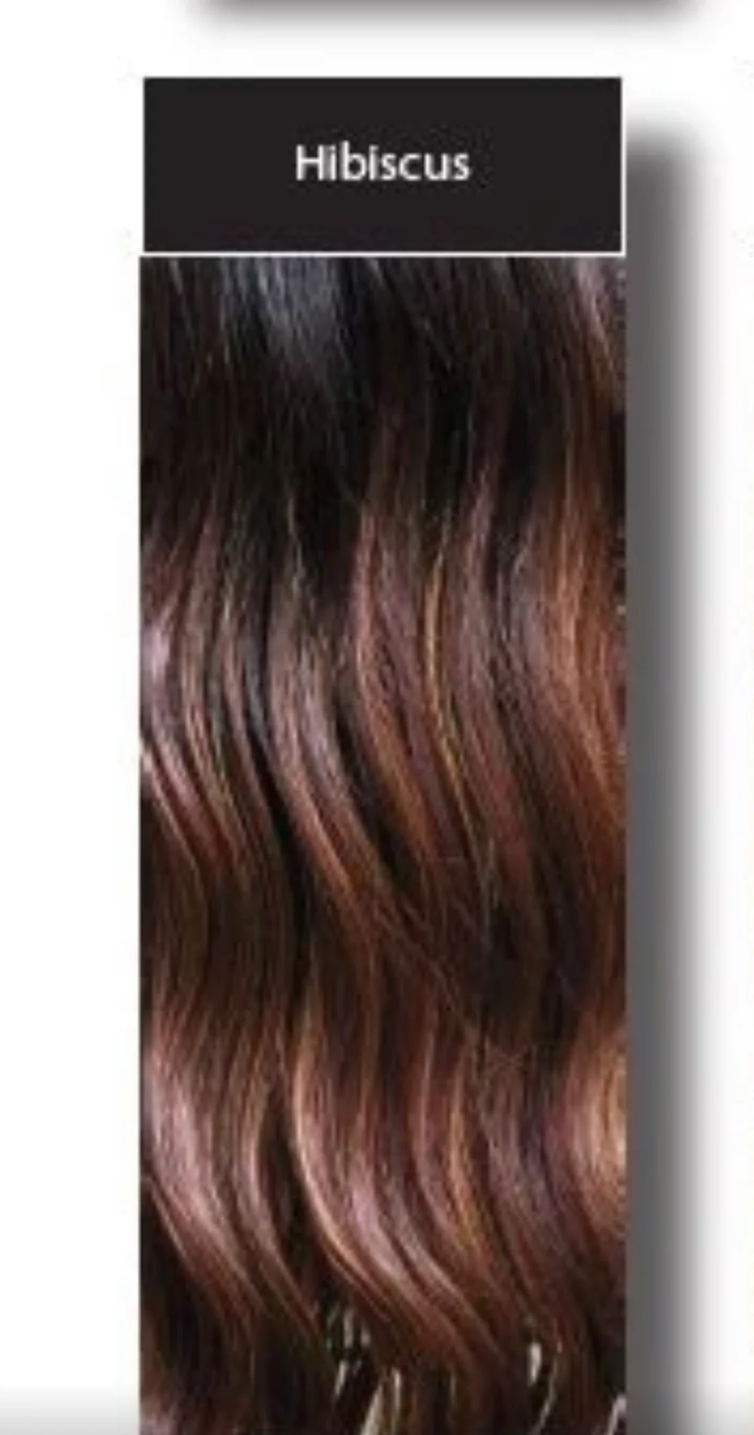 SALE!! "Maxwella 22" (Hibiscus) Balayage Belle Tress Luxury Wig - Image 4